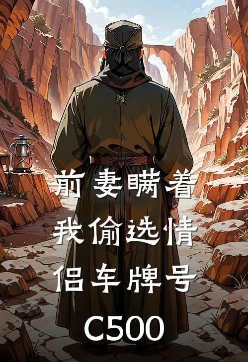 前妻瞒着我偷选情侣车牌号C500