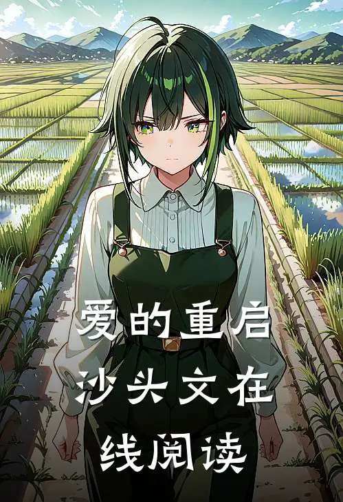 爱的重启沙头文在线阅读