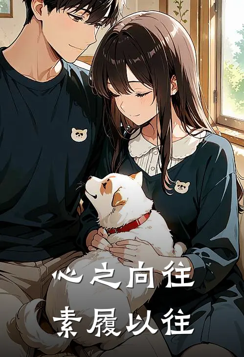 心之向往,素履以往